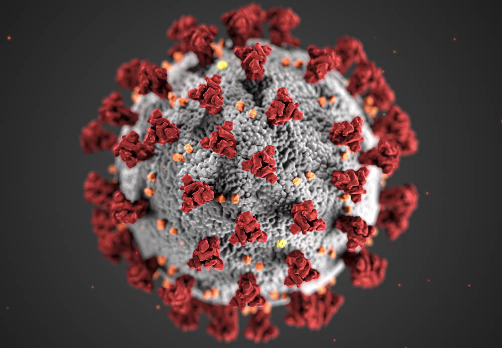 2021.05 coronavirus